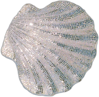 小贝壳